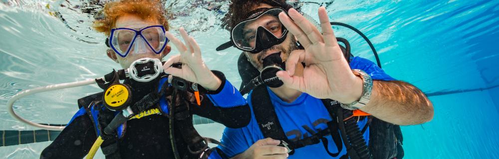 Barn og voksen dykker 